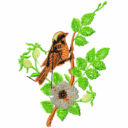 Small Birds Embroidery Design 12